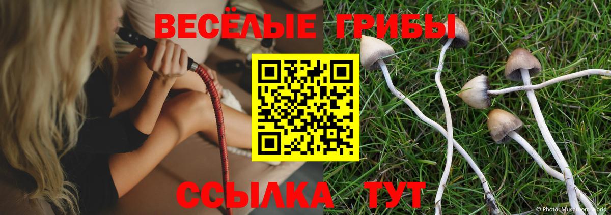 Псилоцибиновые грибы Psilocybe  Вход с VPN  купить  цена  Псилоцибиновые грибы мицелий  Наро-Фоминск 