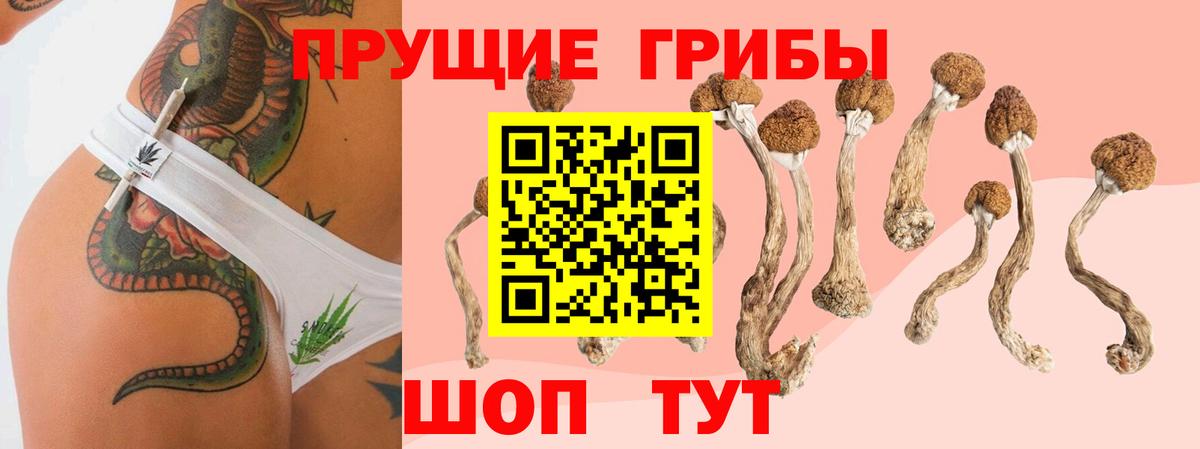 Псилоцибиновые грибы мухоморы Наро-Фоминск